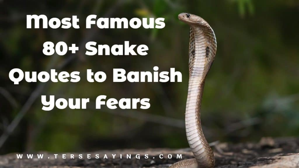 Snake Quotes