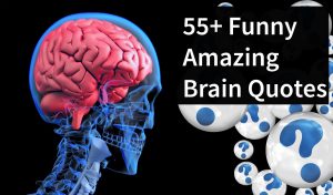 55+ Top Amazing Brain Quotes Funny