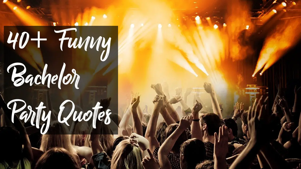 40+ Best Funny Bachelor Party Quotes