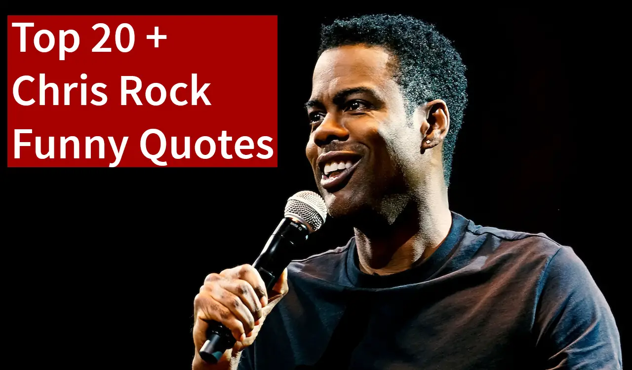 Rock Funny Quotes