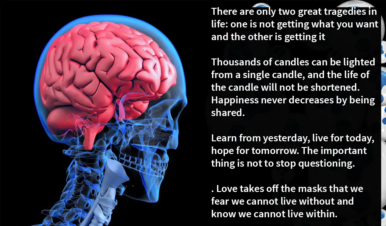 Smart brain quotes