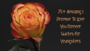 25+ Amazing I Promise To Love You Forever Quotes For Youngsters