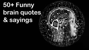 50+ Funny brain quotes and sayings