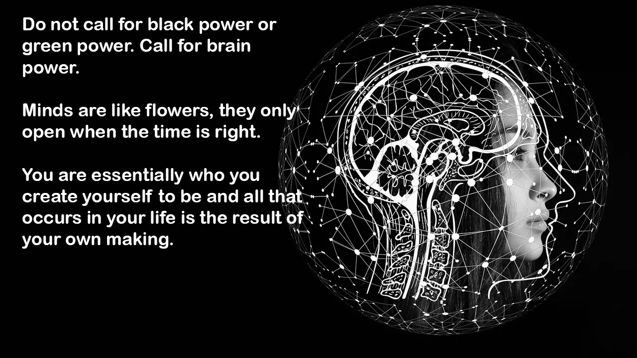 Quotes On Brain Power