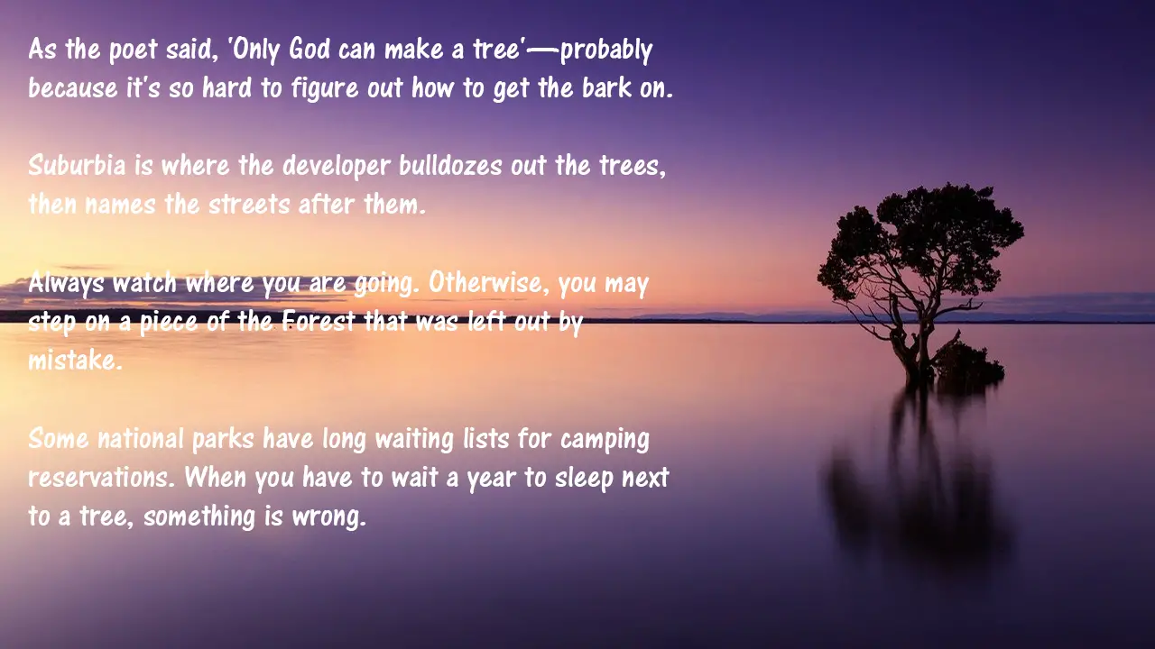 very funny tree quotes