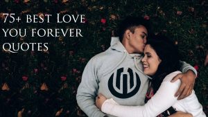 75+ best Love you forever quotes