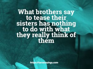 Brother and Sister Love Quotes