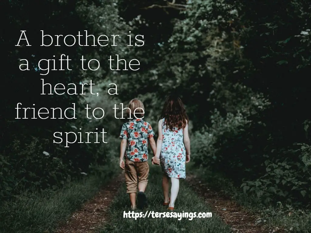 best_brother_and_sister_relationship_quotes_with_images