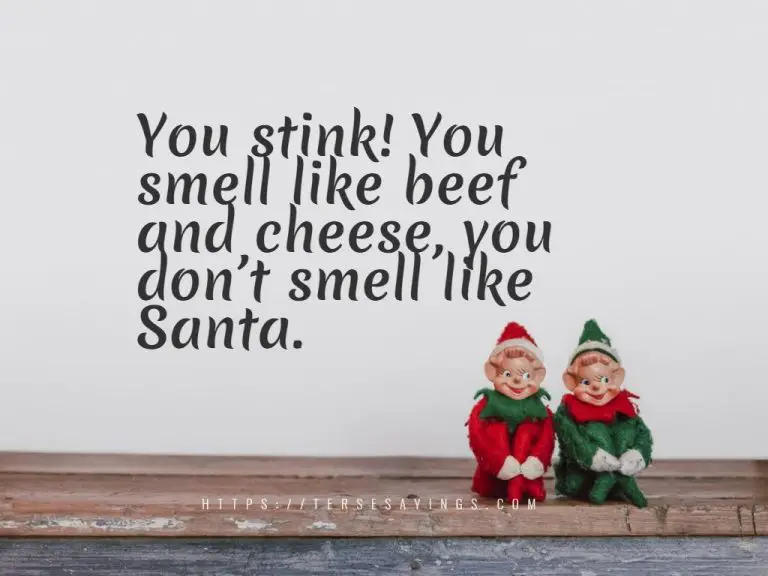 Christmas quotes elf