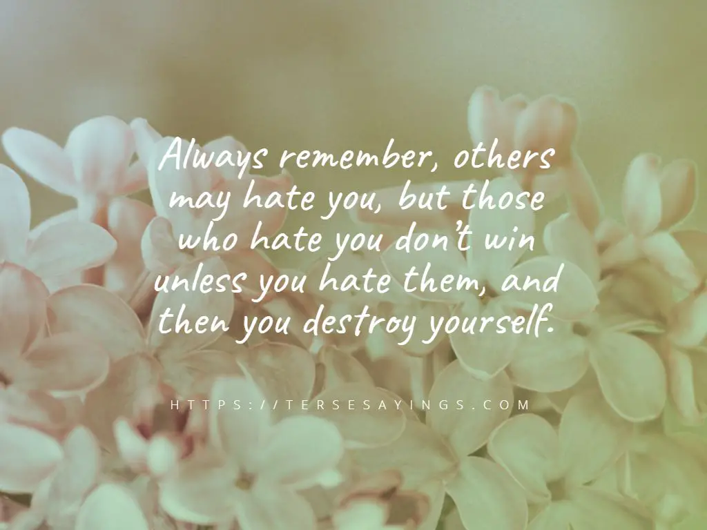 best_quotes_about_hating_someone_you_used_to_love