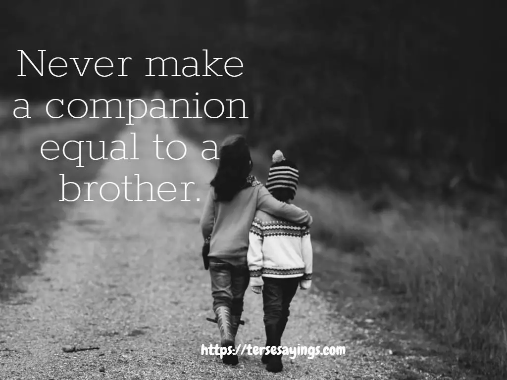 brother_and_sister_relationship_quotes_with_images