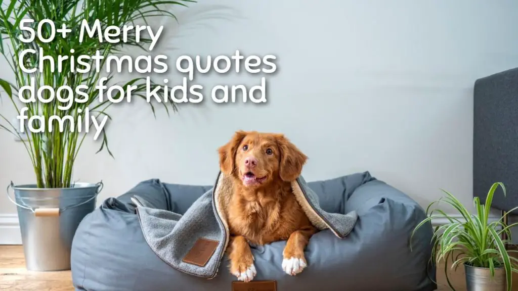 Christmas quotes dogs