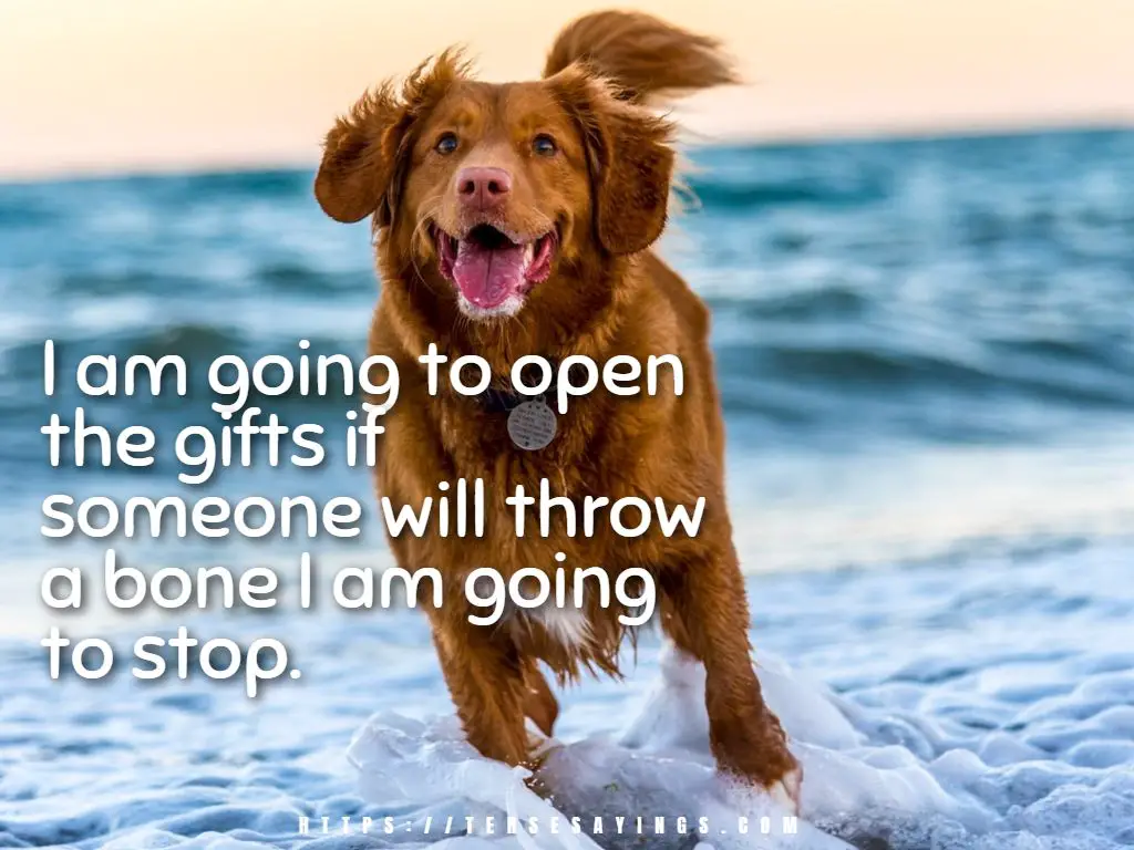 christmas_quotes_dogs 