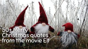 50+ Best Christmas quotes elf
