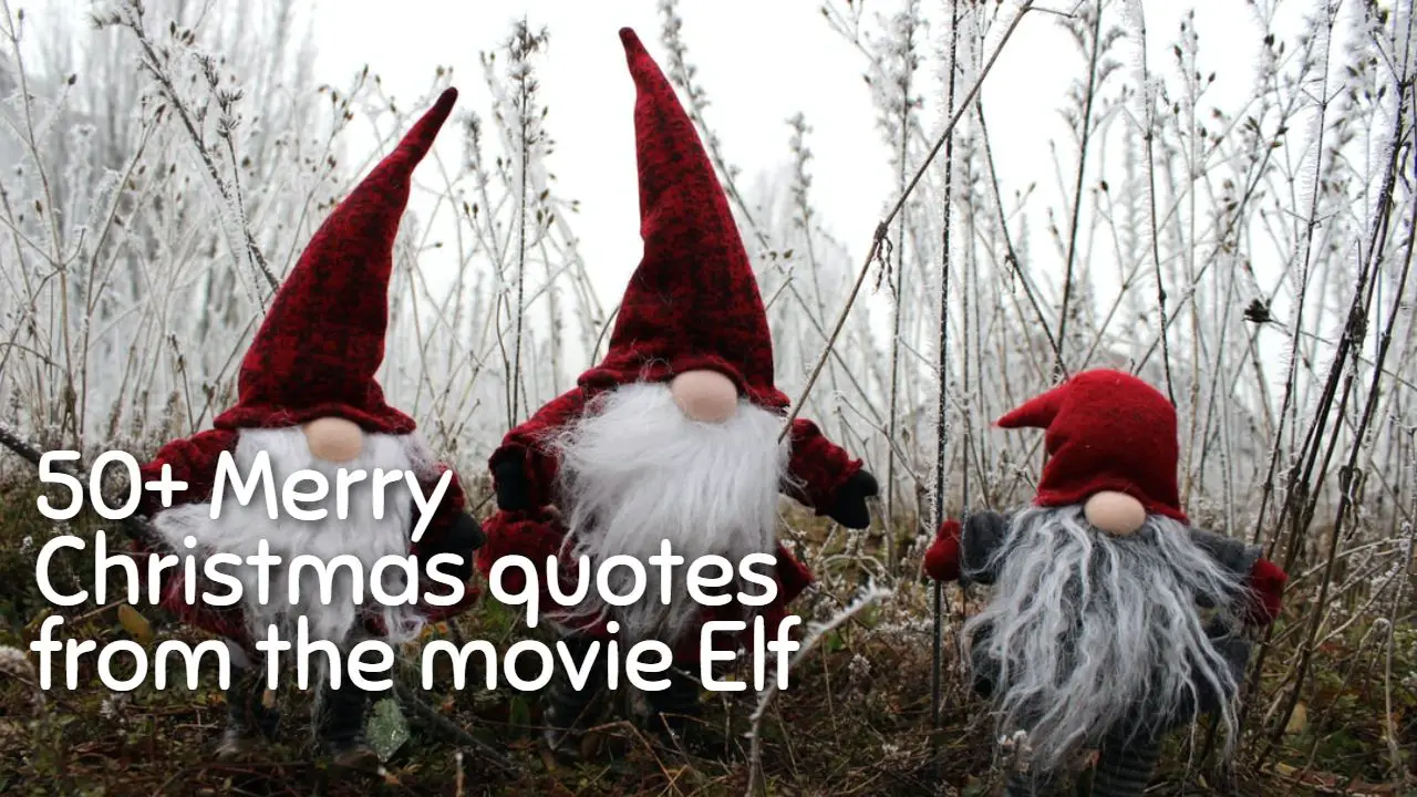 christmas_quotes_elf