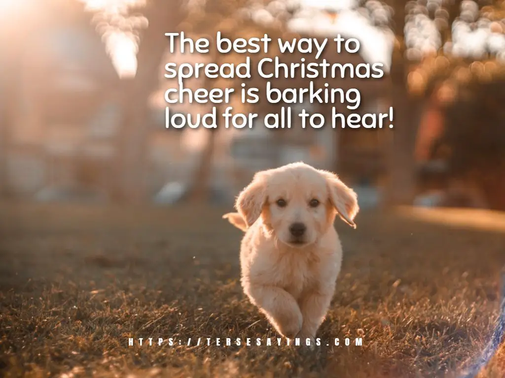 Animals and Christmas quotes