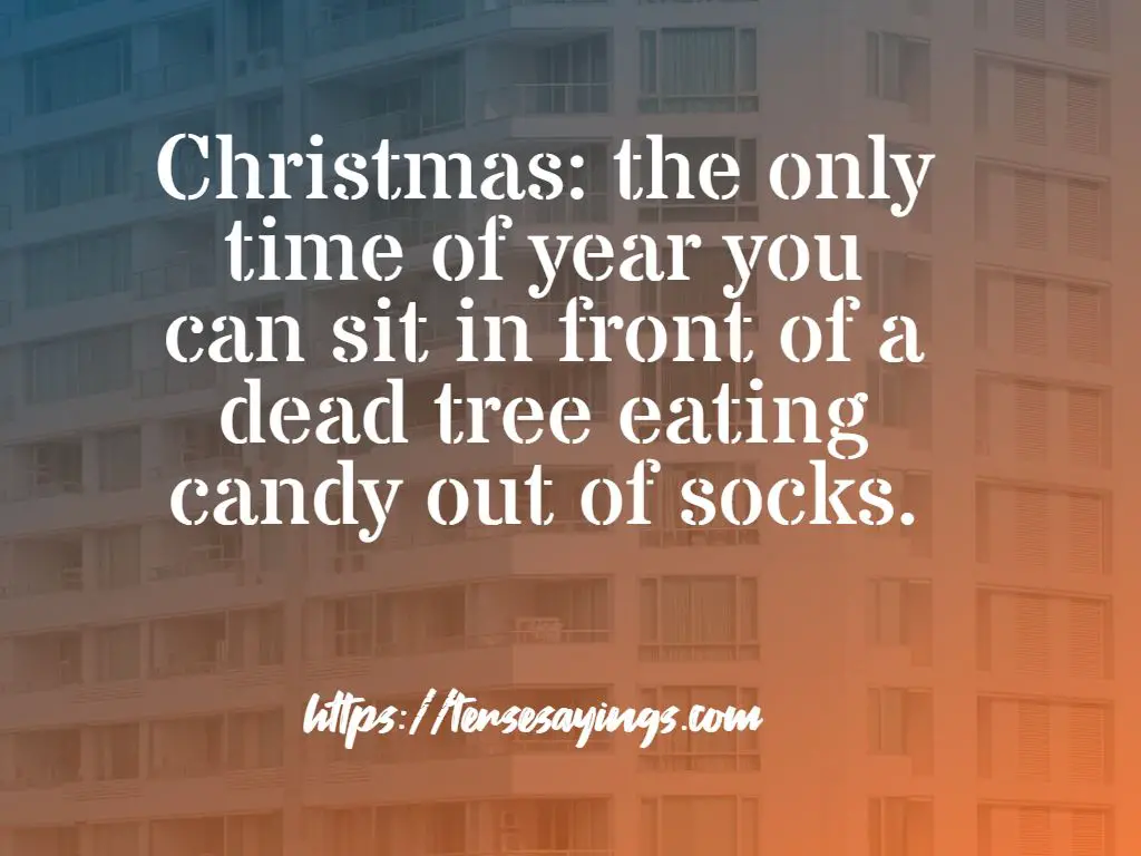 funny_christmas_quotes_about_family