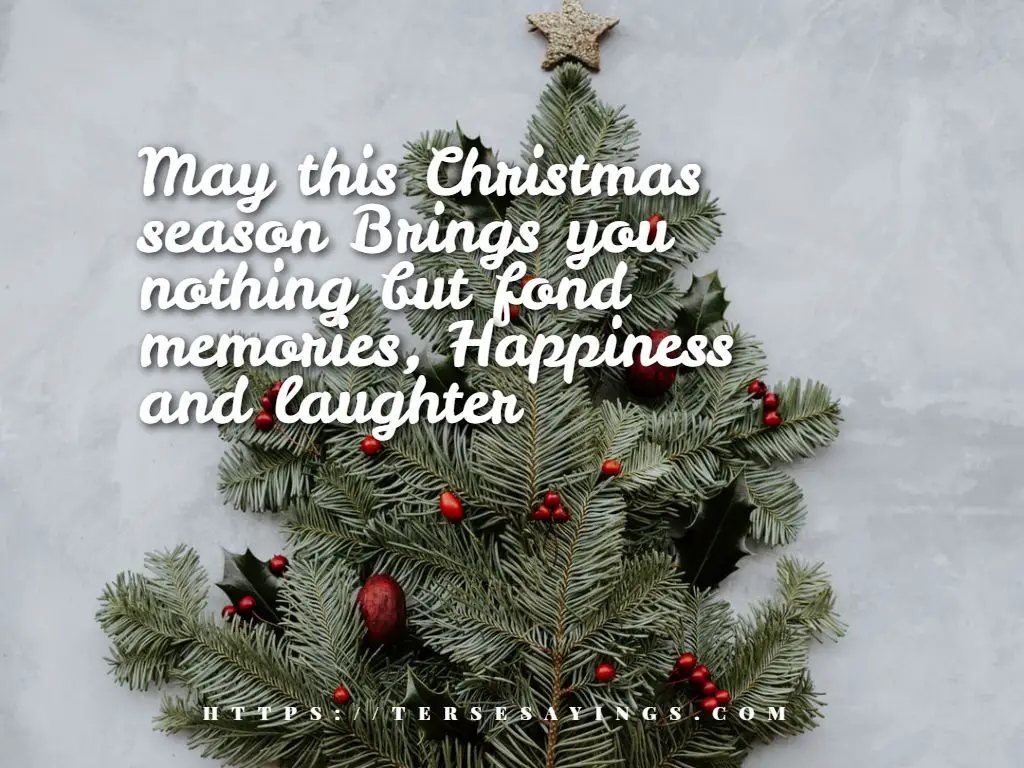 funny_christmas_quotes_in_english