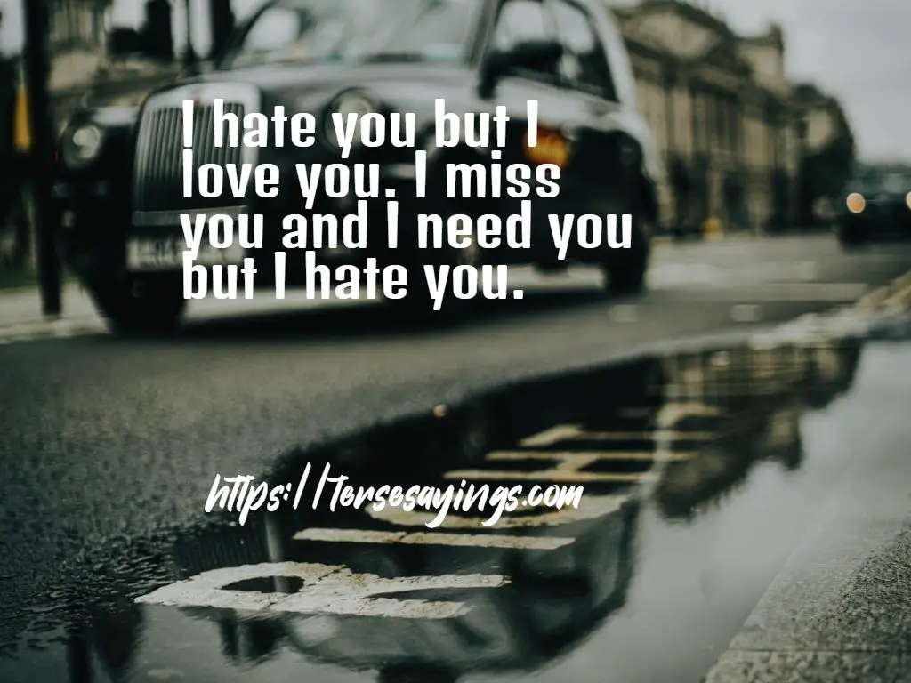 i_love_you_but_i_hate_you_quotes_image