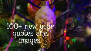 Best 100+  New Year Quotes and Images 2021