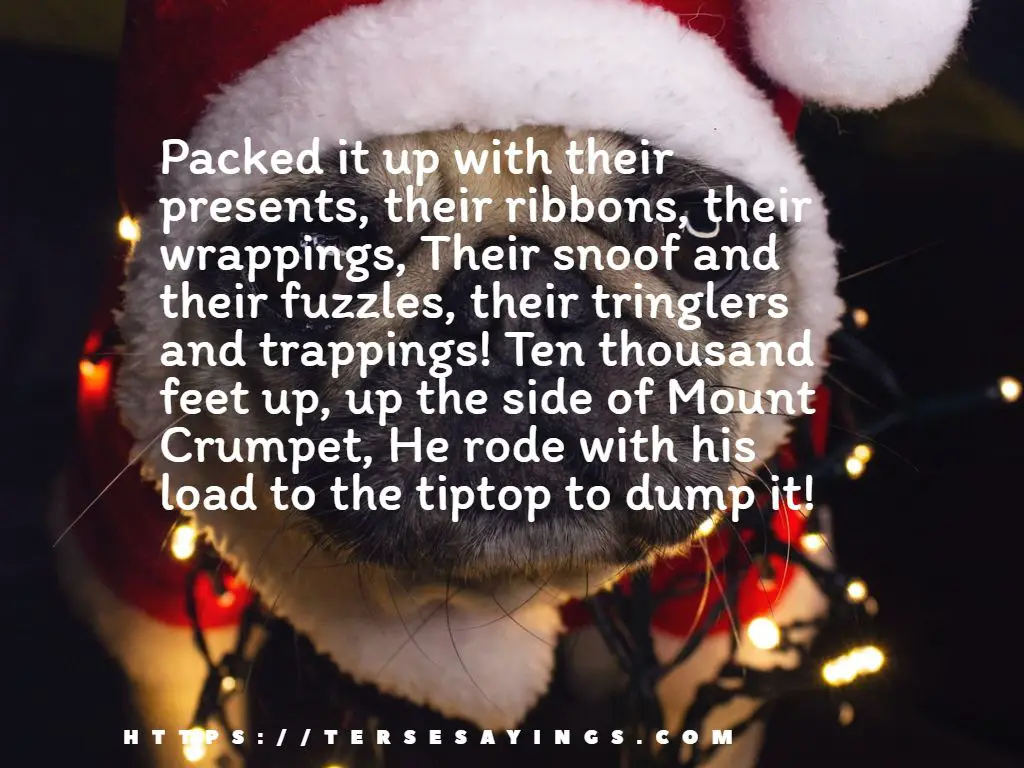 original_grinch_quotes_about_christmas