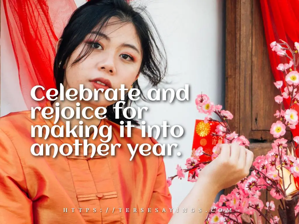 Chinese New Year Words in English