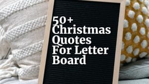 50+ Christmas Quotes For Letter Board