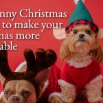 35+ Best Christmas Quotes about Light