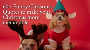 60+ Best Christmas Quotes Funny for 2022
