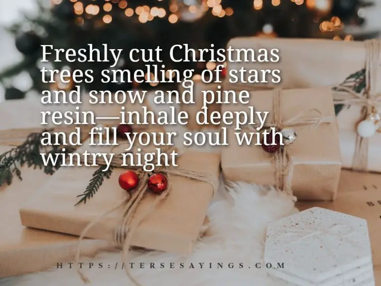 45+ Best Christmas quotes gift giving