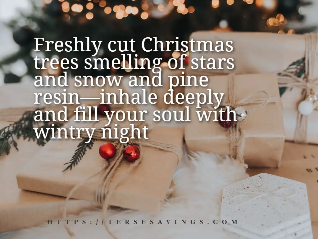 christmas_quotes_gift_giving_images