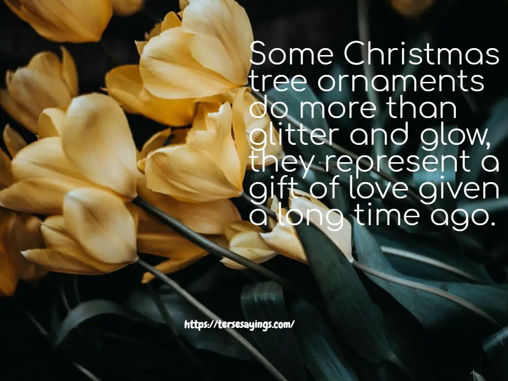 christmas_tree_instagram_captions_images