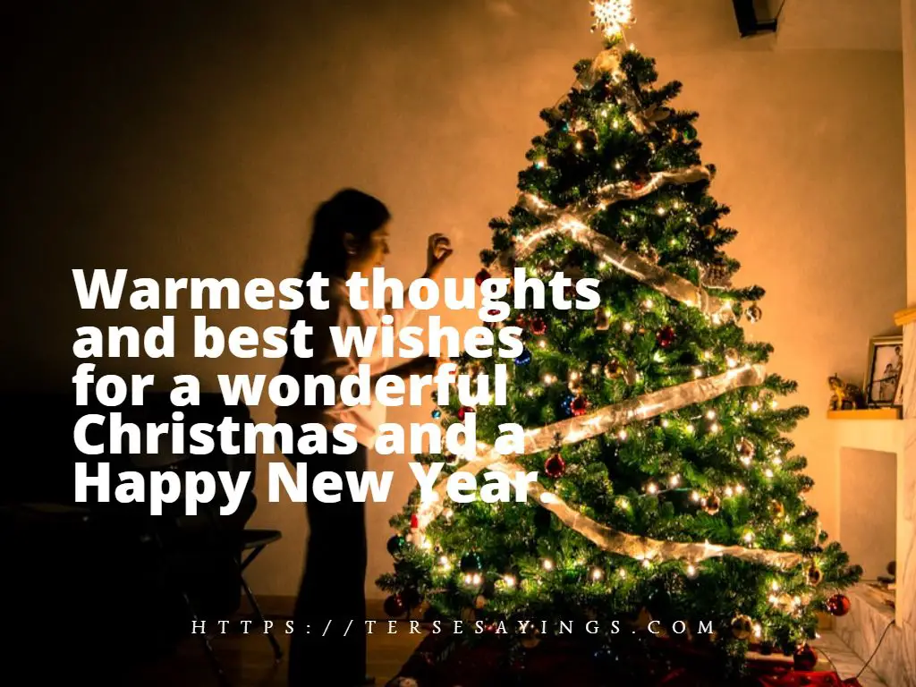 Christmas and New Year Wish 2023