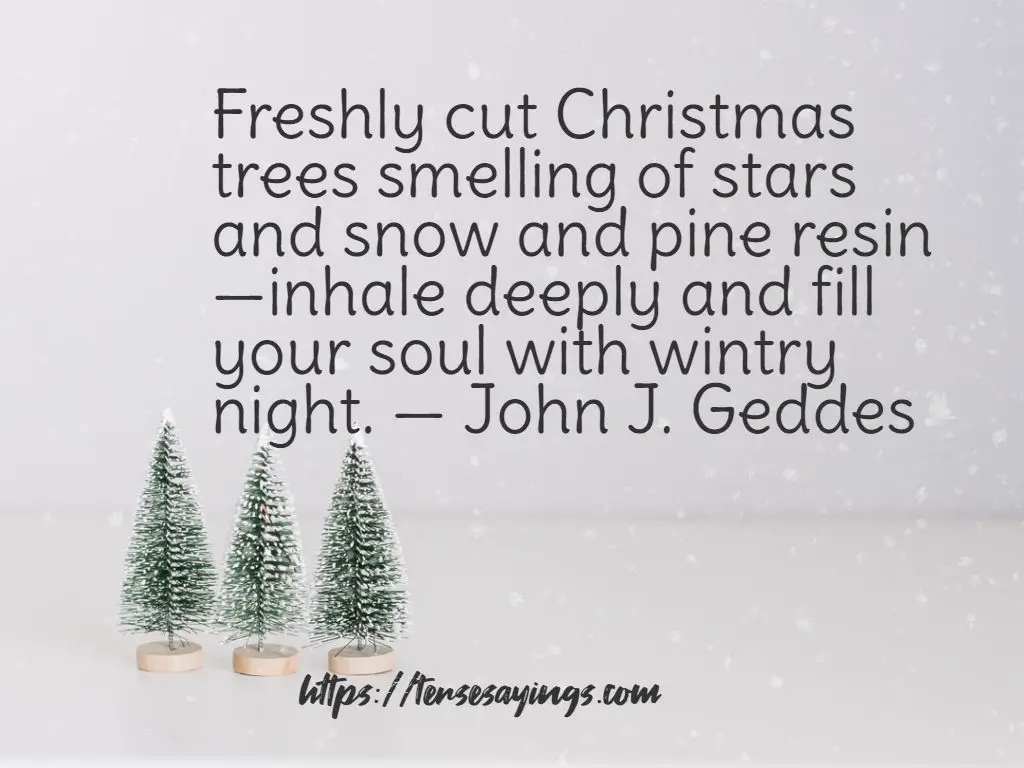 short_christmas_quotes_aesthetic