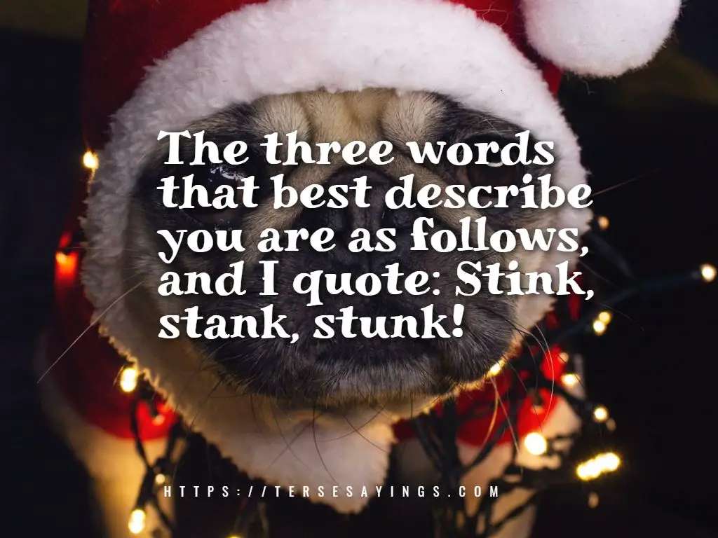 christmas_grinch_quotes_funny
