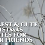 40+ Best Christmas Quotes By Saints