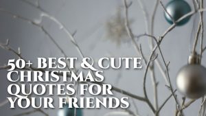 50+ Best Christmas quotes cute