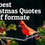 60+ Best Christmas Quotes By CS Lewis