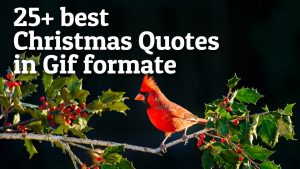 25+ Best Christmas Quotes Gif