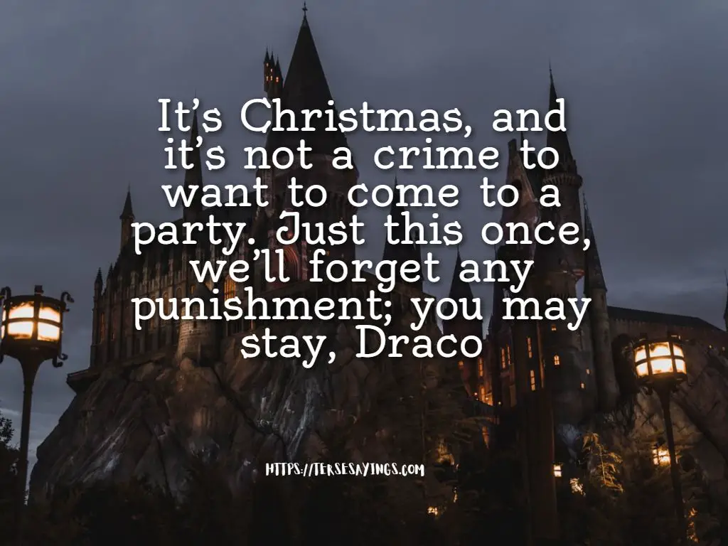 harry_potter_quotes_about_christmas