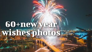 60+ new year wishes photos