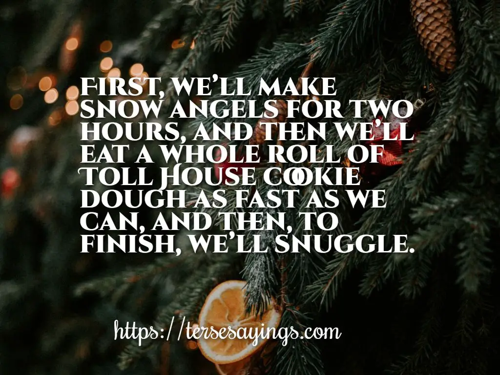short_christmas_quotes_funny