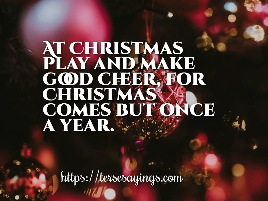 short_christmas_quotes_funny_images
