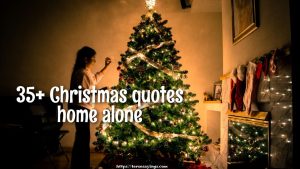 35+ Christmas quotes home alone