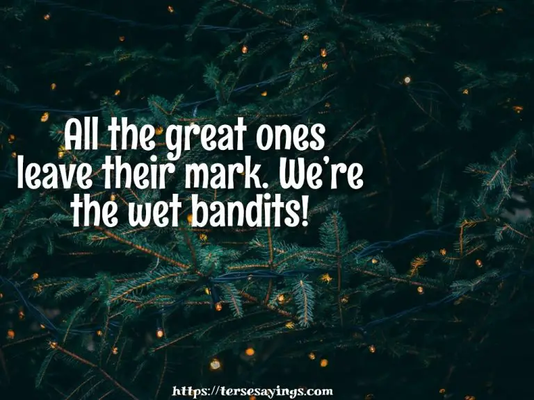 35+ Christmas quotes home alone