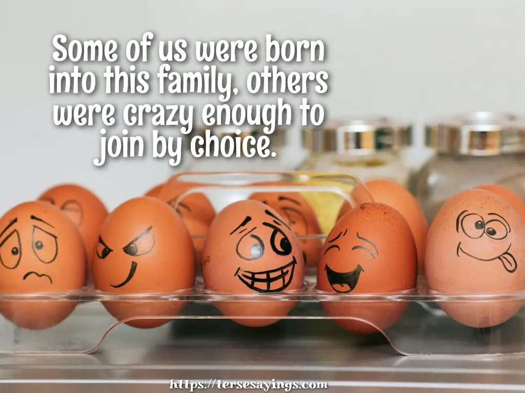 19-unbelievable-funny-family-reunion-quotes-that-will-unlock-your-true