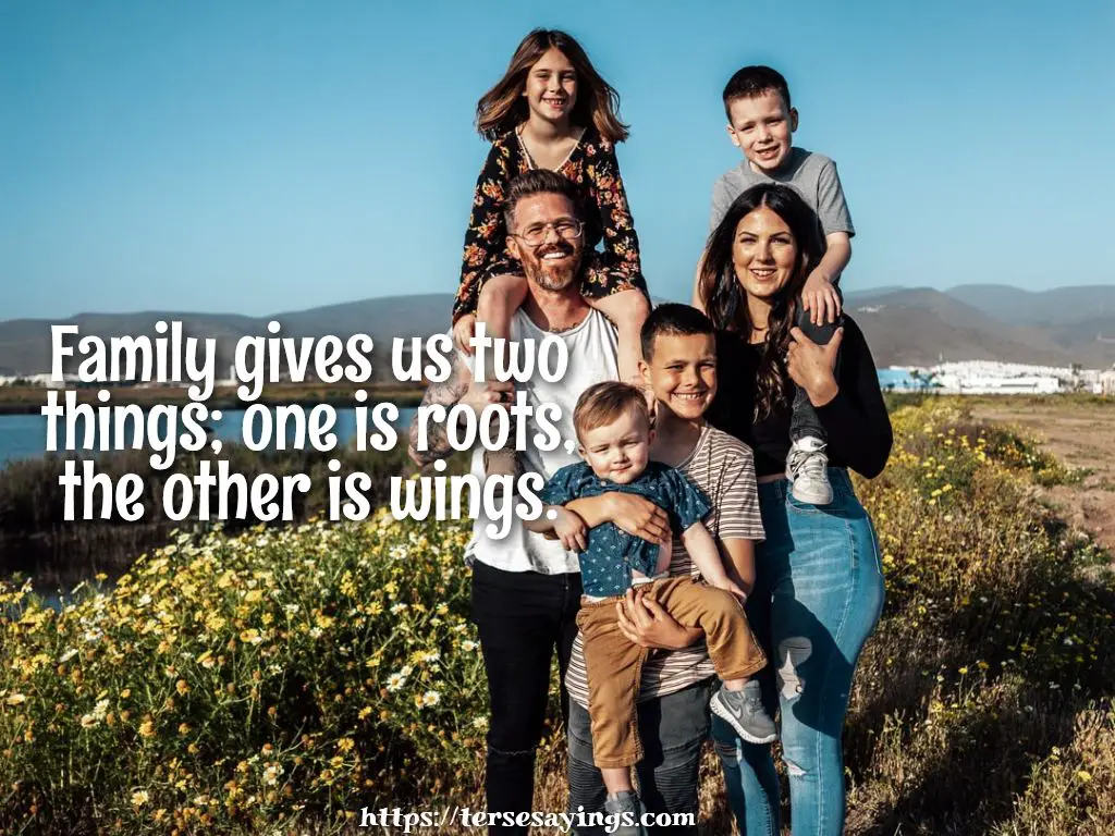 Family Reunion Quotes