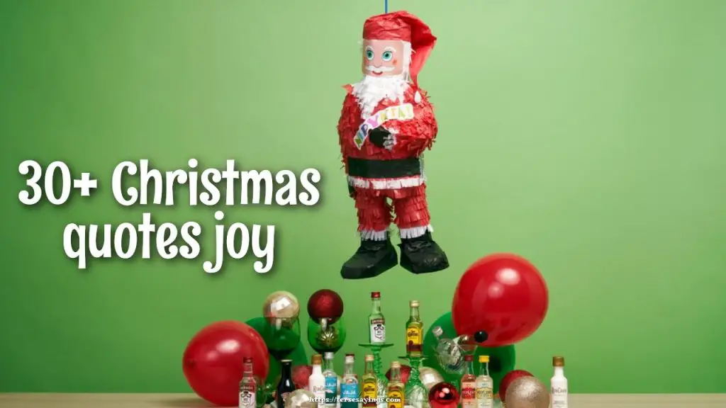 30+ Christmas quotes joy