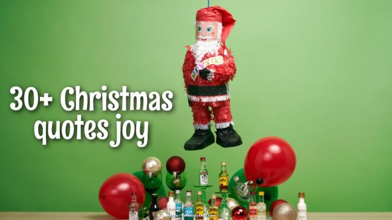 30+ Christmas Quotes Joy