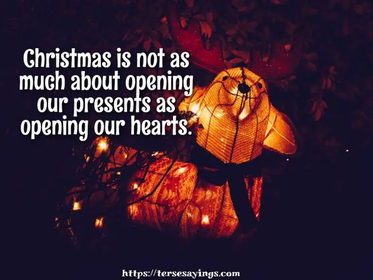 30+ Christmas quotes joy